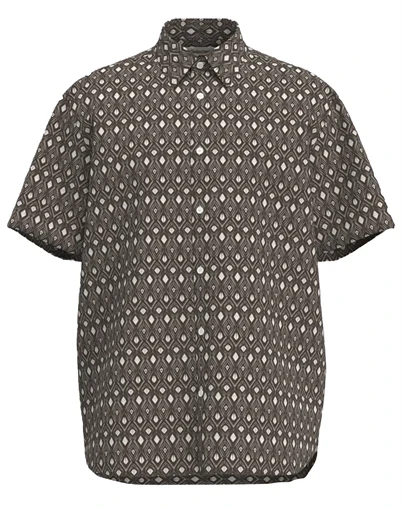 Selected - SLHRegclay Linenblend Skjorte - Bracken/Geo Diamond